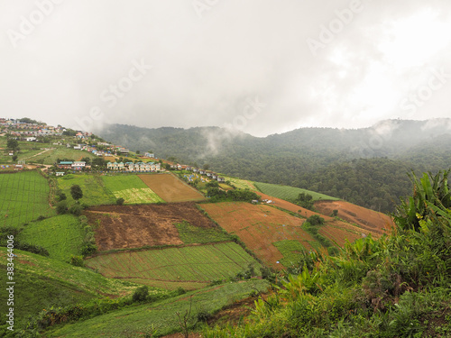 rice terraces in island