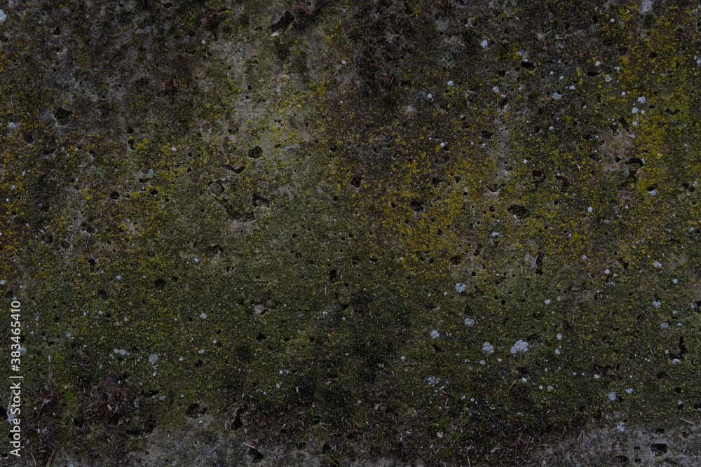 Photo of a wall texture. Dark colors. Photo of a wall texture. Dark colors.