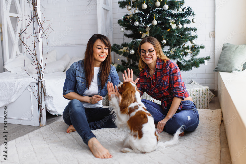 two girlfriends with dog are sitting on the floor smiling in a bright room on the background of a Christmas tree
