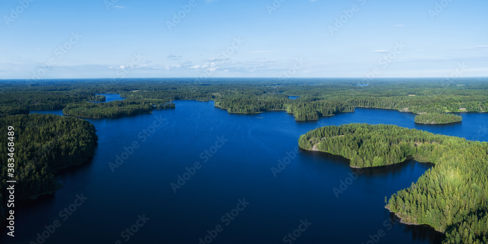 Aerial view of a huge lake surrounded by rural forest. Summer landscape.