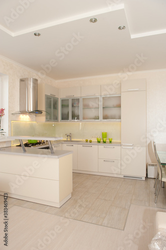 White kitchen interior. Bright Kitchen Set