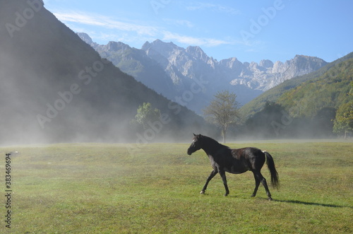 Horse in Morning Fog, Prokletije Mountains, Montenegro