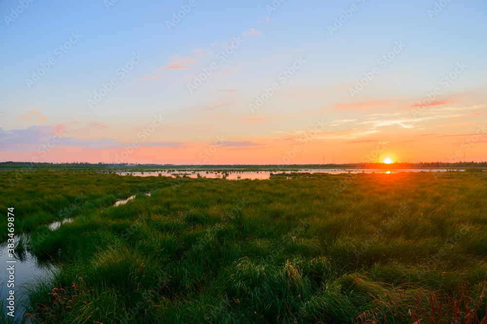 Summer evening landscape with a grassy lake