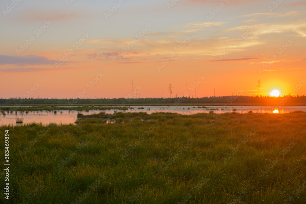 Summer evening landscape with a grassy lake Summer evening landscape with a grassy lake