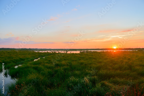 Summer evening landscape with a grassy lake