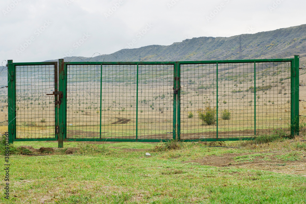 Fototapeta premium A green iron gate with a grid structure closed with a padlock. 