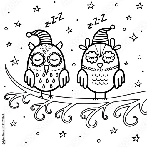 Sleeping owls on the branch coloring page. Good night coloring book