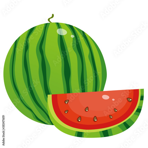 Color image of watermelon on white background. Berry and fruits. Vector illustration.