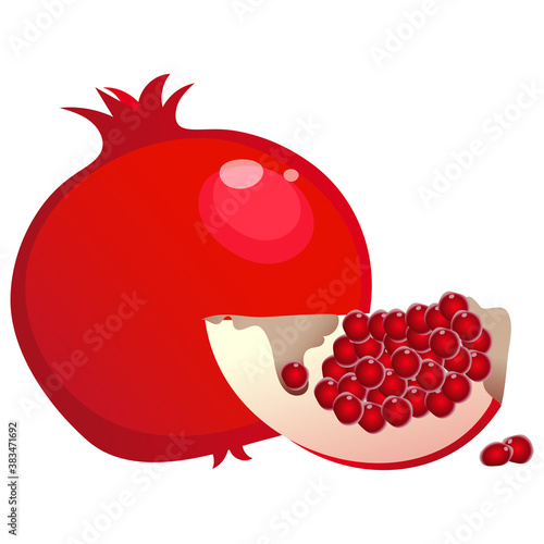 Color image of garnet or pomegranate on white background. Fruits and berries. Vector illustration.