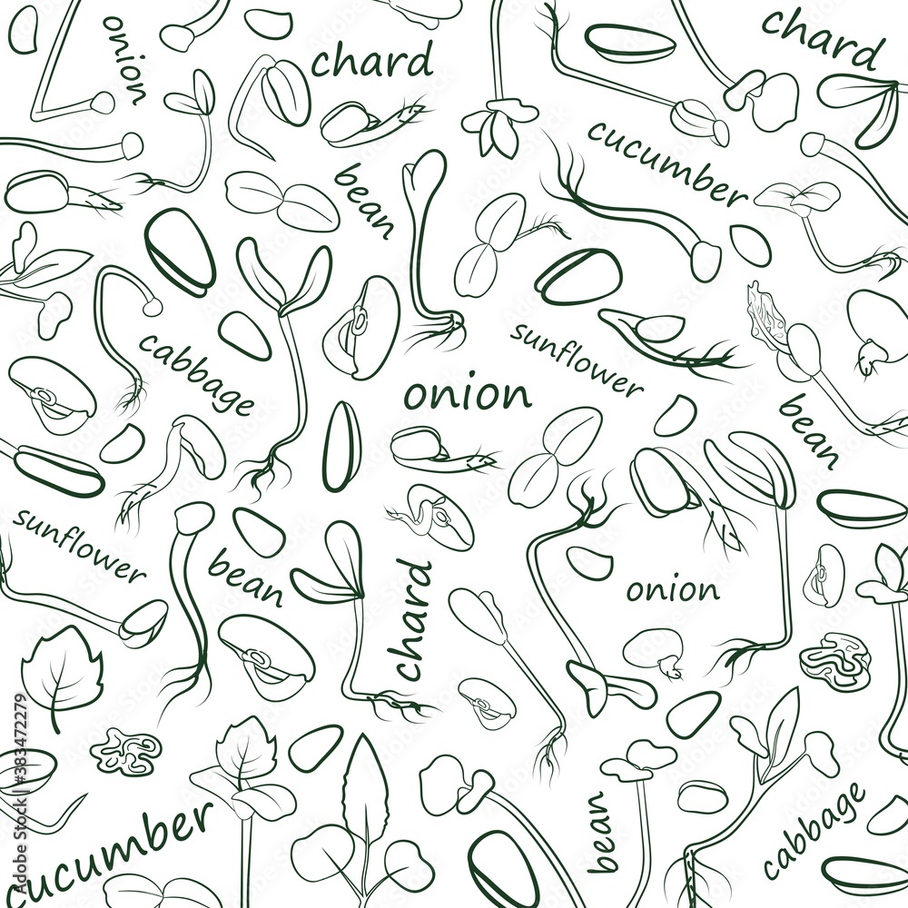 Texture. Microgreens.