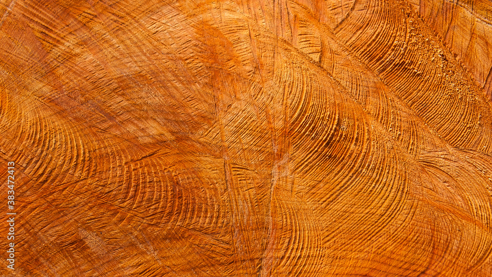 Fototapeta premium Section of a chopped trunk as background