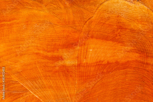 Section of a chopped trunk as background