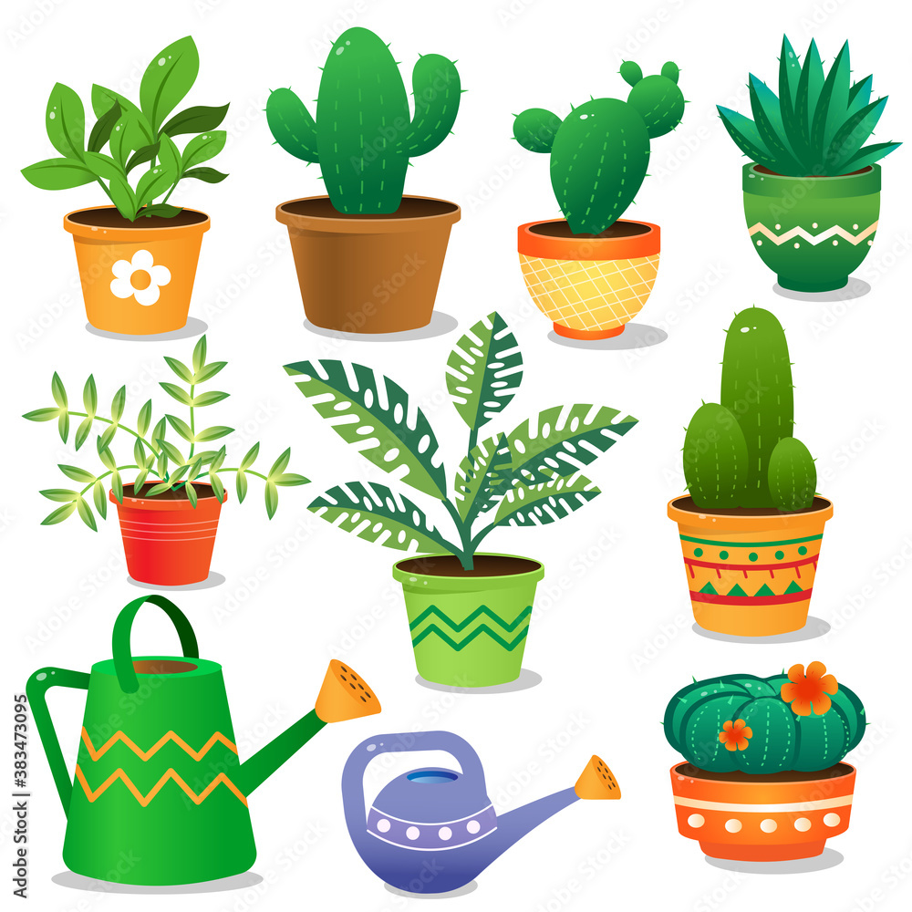 Fototapeta premium Color images of house plants with watering cans on white background. Vector illustration set.