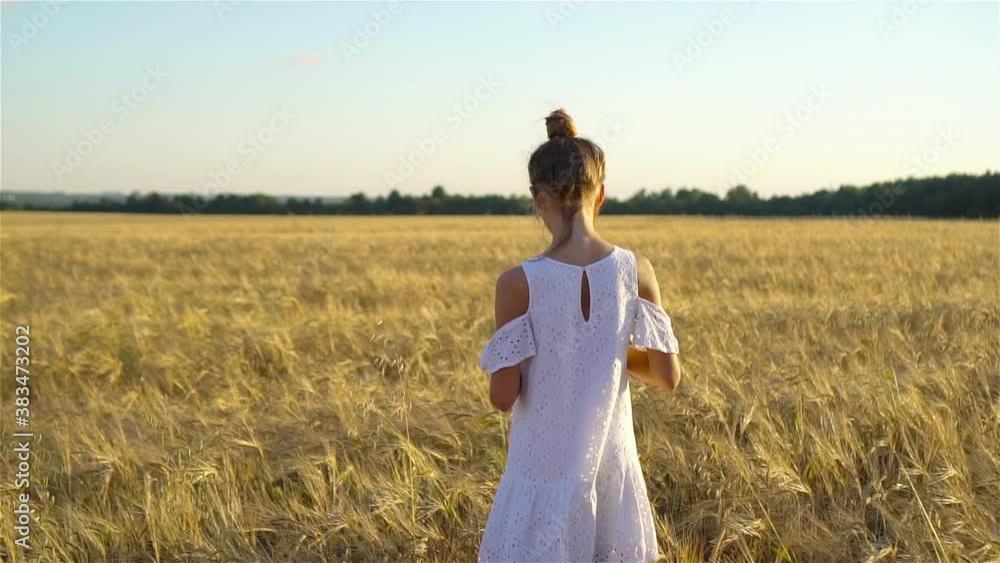 Adorable preschooler girl walking happily in wheat field on warm and sunny summer day
