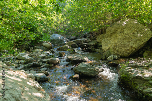 Crystal clear river surrounded by vegetation and stones