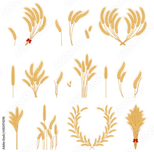 Wheat ears or rice icons set. Wheats ears icons and grain design elements for beer, organic wheats local farm fresh food. Silhouette of wheat.