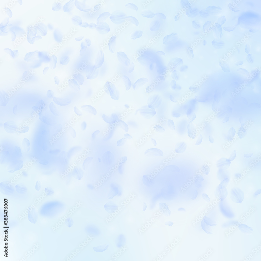 Fototapeta premium Light blue flower petals falling down. Exceptional