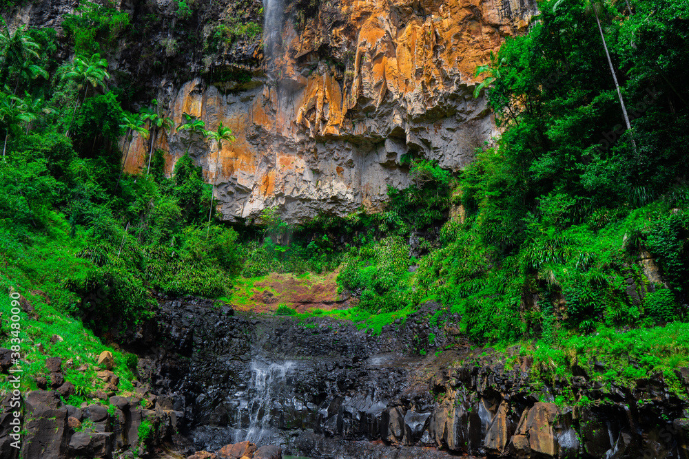 waterfall in the forest