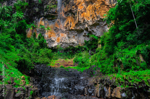 waterfall in the forest