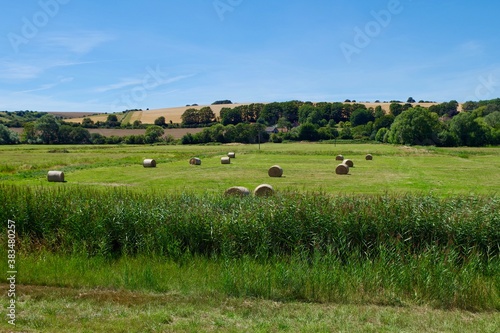 hay bales in the field