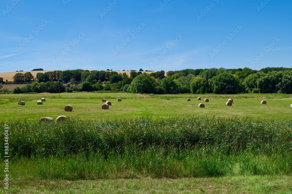 hay bales in the field hay bales in the field
