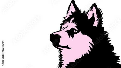 wolf animal carnivora black and pink colored