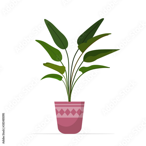 decorative houseplant planted in ceramic pot garden potted plants isolated vector illustration