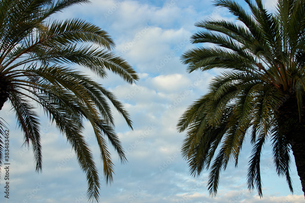 Barceloneta beach at sunrise in Barcelona, Spain