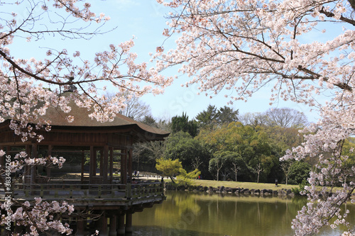 奈良、春の浮見堂