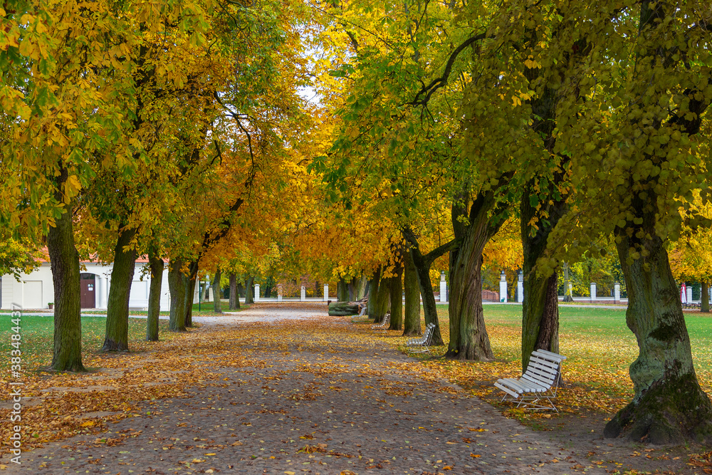 Naklejka premium Garden in front of the palace. Autumn colors, Rogalin, Poland.