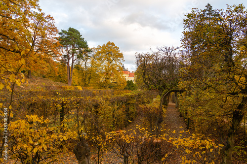 Garden in front of the palace. Autumn colors  Rogalin  Poland.