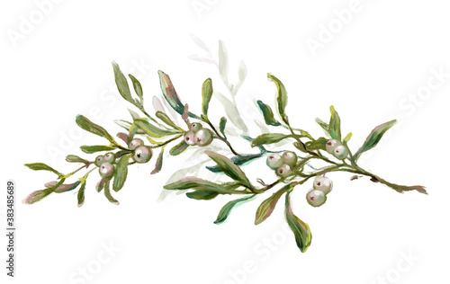 Wallpaper Mural Hand drawn mistletoe branch isolated on white background. Watercolor and crayon vintage style winter botanical illustration. Christmas floral decoration, evergreen plant and berries.
 Torontodigital.ca