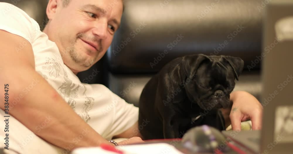 Black pug with the owner are sitting on the sofa before laptop at home. The funny dog looks at the pc or notebook screen. Black pug with the owner are sitting on the sofa before laptop at home. The funny dog looks at the pc or notebook screen.