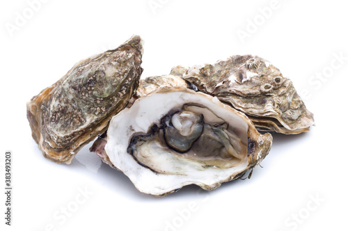 Fresh  oyster on white background