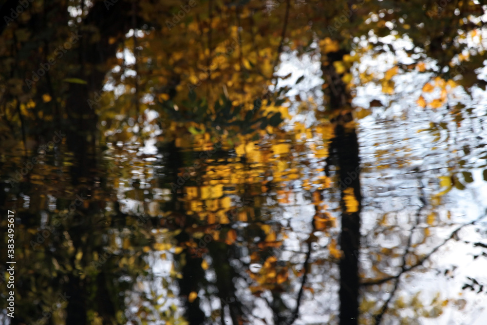 Fototapeta premium herbstlaub spiegelung auf wasseroberfläche