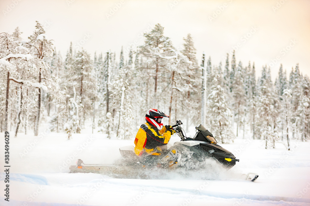 The racer in the outfit of a yellow-black overalls and a red-black helmet, driving a snowmobile at high speed riding through deep snow against the background of a snowy forest.