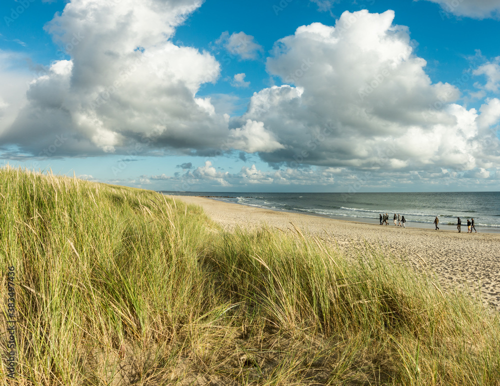 Beach sand with group of people walking at coastline. Blue sky and dramatic clouds at waterfront in soft evening sunset light. Hvidbjerg Strand, Blavand, North Sea, Denmark.