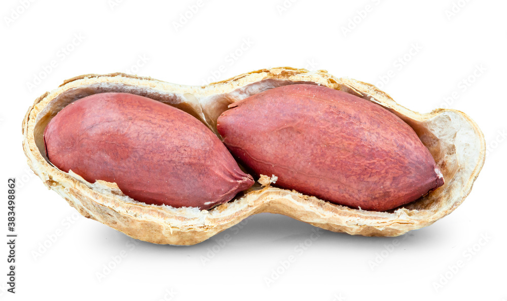 Peanuts isolated on white background