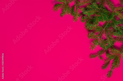 New Year s composition. Spruce branches on a pink background.