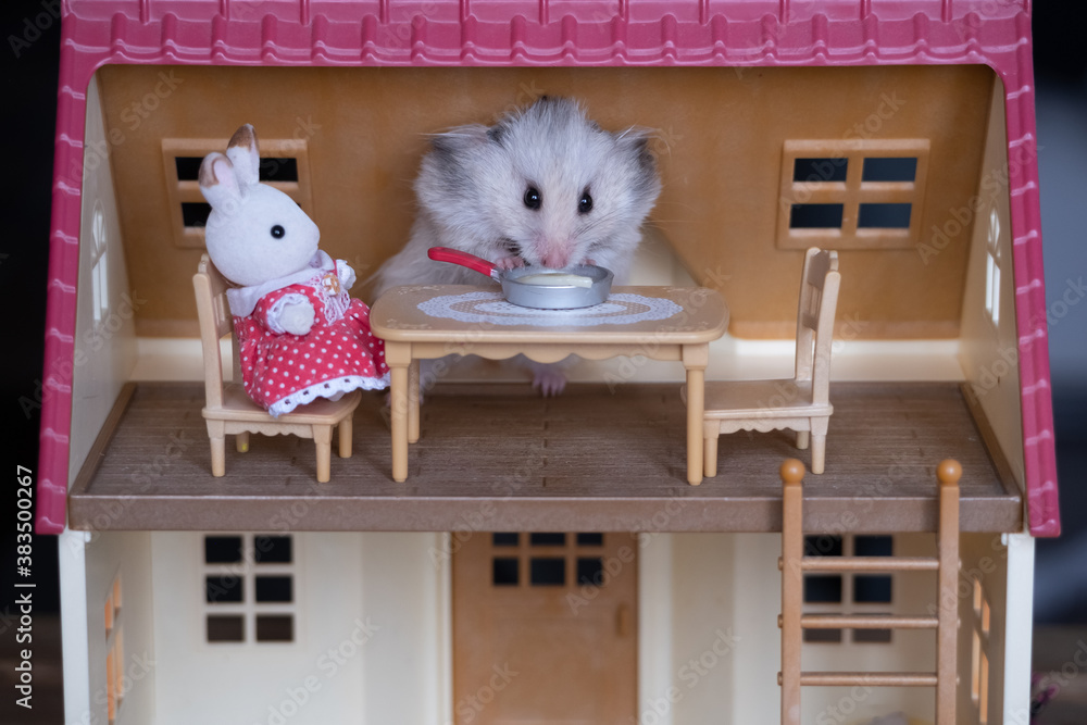 Cute hamster eating spaghetti from a pan in a toy dollhouse