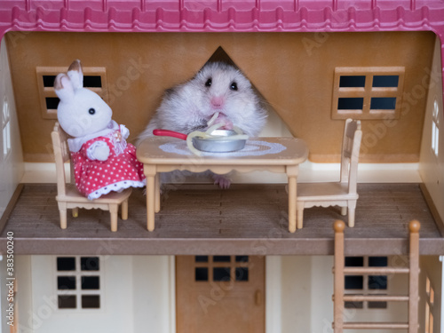 Cute hamster eating spaghetti from a  pan in a toy dollhouse