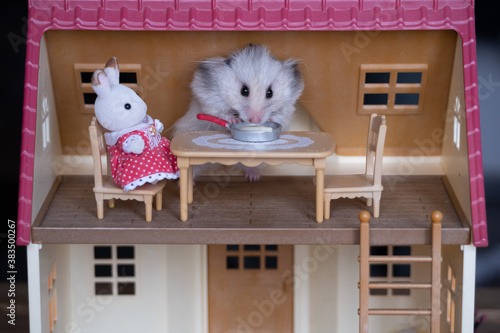 Obraz na płótnie Cute hamster eating spaghetti from a pan in a toy dollhouse w salonie