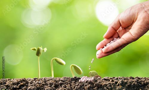 hand of a farmer giving fertilizer to young green plants / nurturing baby plant with chemical fertilizer on green bokeh background