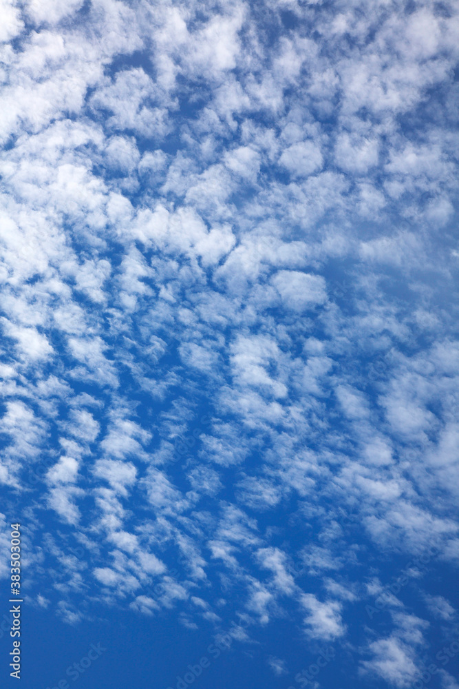 秋空 秋空