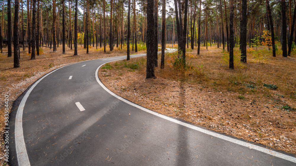 Fototapeta premium A winding Bicycle and running paved path in the autumn forest