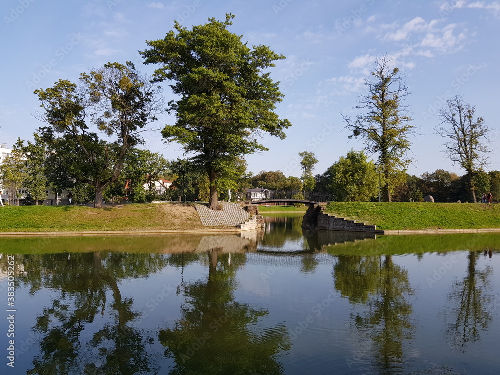 Obraz premium Trees are reflected in the surface of the lake
