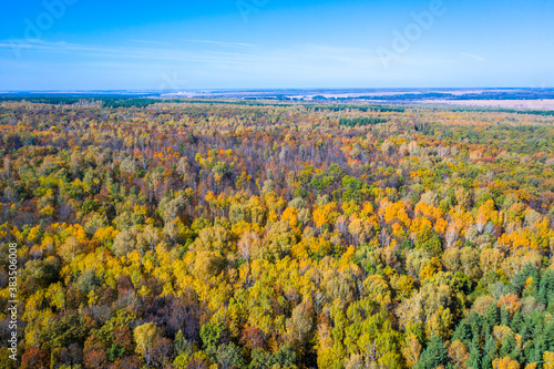 Aerial photo of multicolored tops of trees in the autumn forest