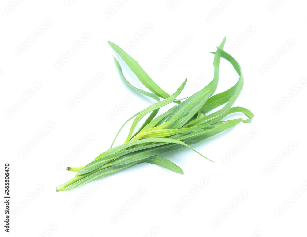 Tarragon herbs isolated on white Tarragon herbs isolated on white