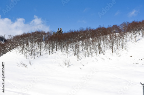 White snow on the mountains of winter in Japan