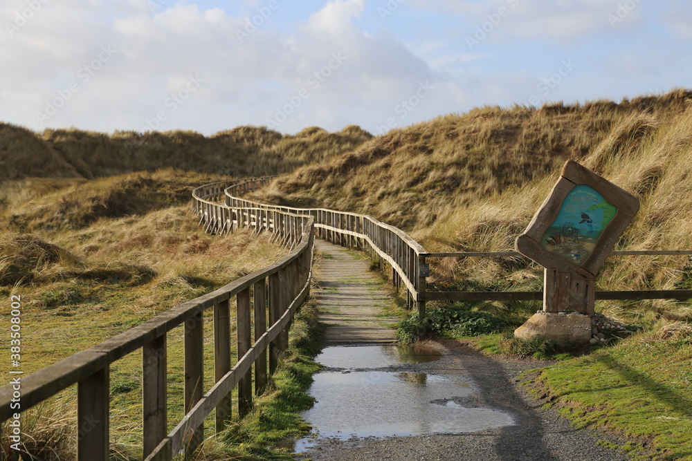 The wooden boardwalk leading through the dunes to the beach at Dyffryn Ardudwy, Gwynedd, Wales, UK.